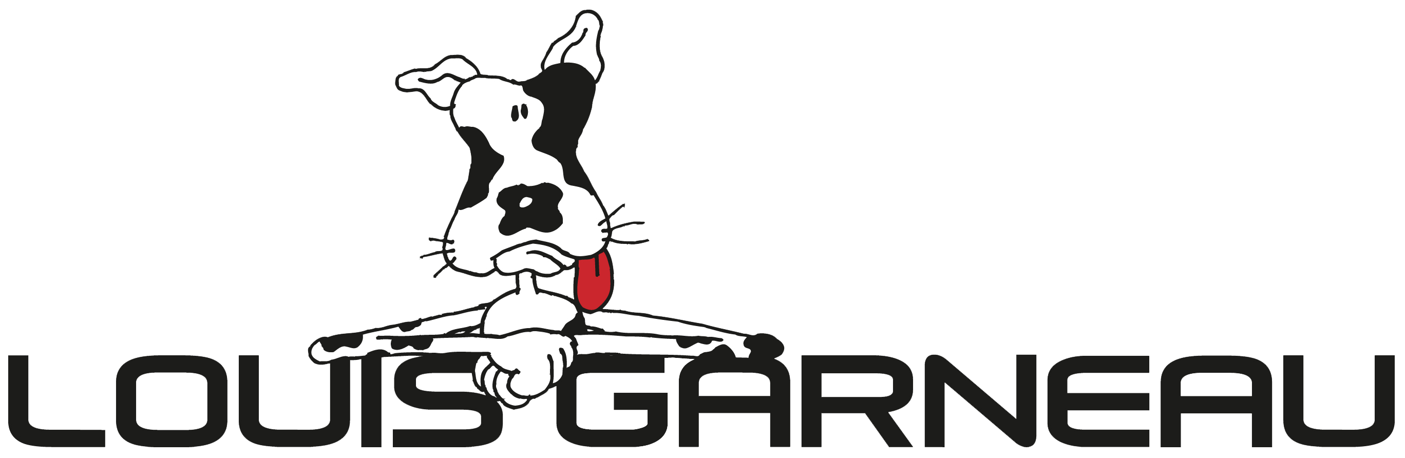 louis garneau actifly